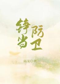 铮当防卫 推书