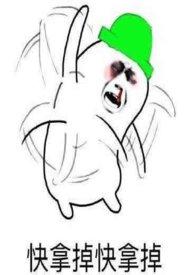 满朝文武皆绿你停更了吗