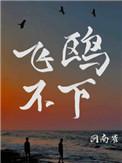 飞鸥不下txt