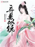 弃妻似锦详细介绍
