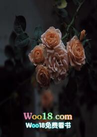 壁垒的意思 百度