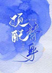 顶配替身陈秋澈江桉结局