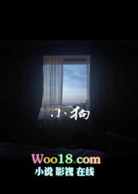 小狗被撞后续