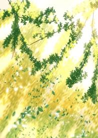 阴暗普女但第三者男主