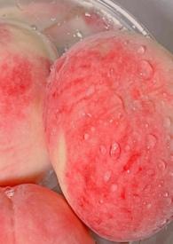 白桃父女h骨科全文免费阅读