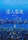 浸入蓝夜全集TXT