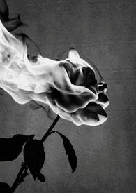 禁中非烟(1V1) 锦换