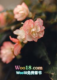 游园惊梦原文