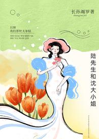 主角叫陆先生