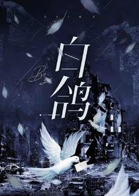 白鸽的