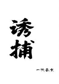 诱捕po