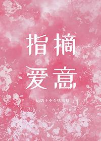 指摘爱意TXT