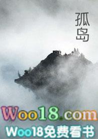 孤岛Np