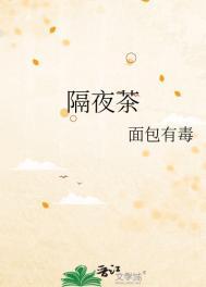 隔夜茶txt