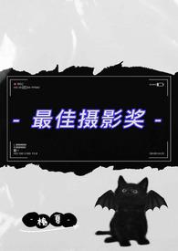 最佳摄影奖项