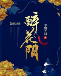 醉花阴九日李清照