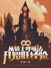 骑士在巫师世界