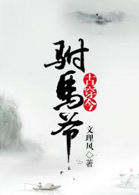 驸马古代gl