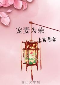宠妻为上全文免费阅读