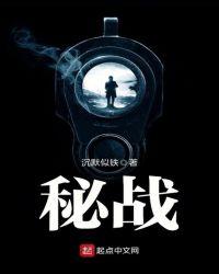 密战计划电影