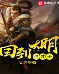 回到大明当才子全集