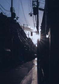你是我的曙光全文h