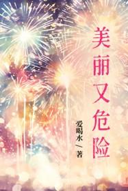 美丽的危险英文