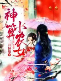 神算小农女她不误正业