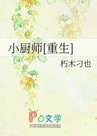 小厨师