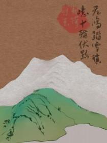 飞鸿踏雪集