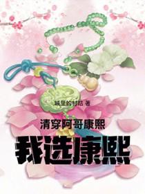 清穿之康熙和阿哥们