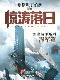 惊涛落日txt全文免费阅读