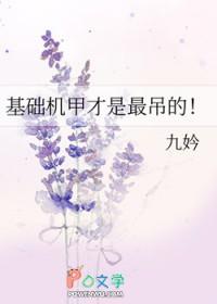 机甲干什么