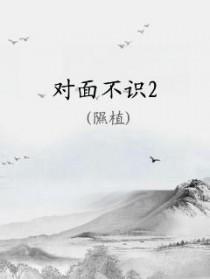 客从何来是什么意思