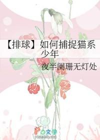 排球少年野猫