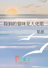 捡到猫是好是坏