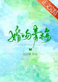 婚吻青梅by远山紫免费阅读