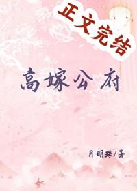 高嫁公府by月明珠番外