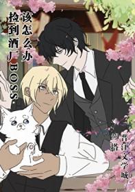 捡到酒鬼走上人生巅峰