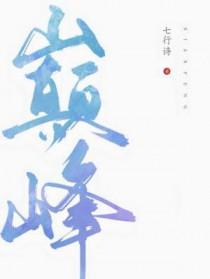 巅峰极速极氪001