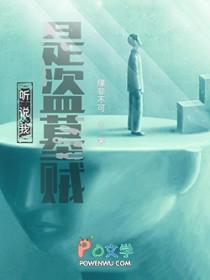 听说我是盗墓贼结局