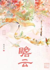 瞻云什么意思