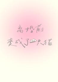 离婚前变成了一只猫(1V1)段叶