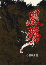 女主叫凤凰的女尊