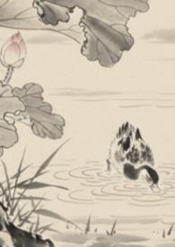 全京城都在等我被休