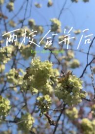 两个学校合并带来的问题