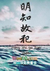 明知故犯歌词