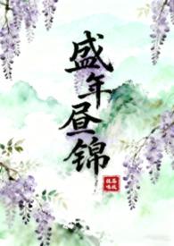 盛年锦时是什么意思