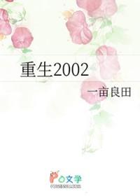 重生2002免费阅读南方小哥