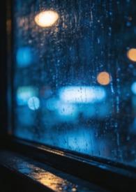 新的上司是天然